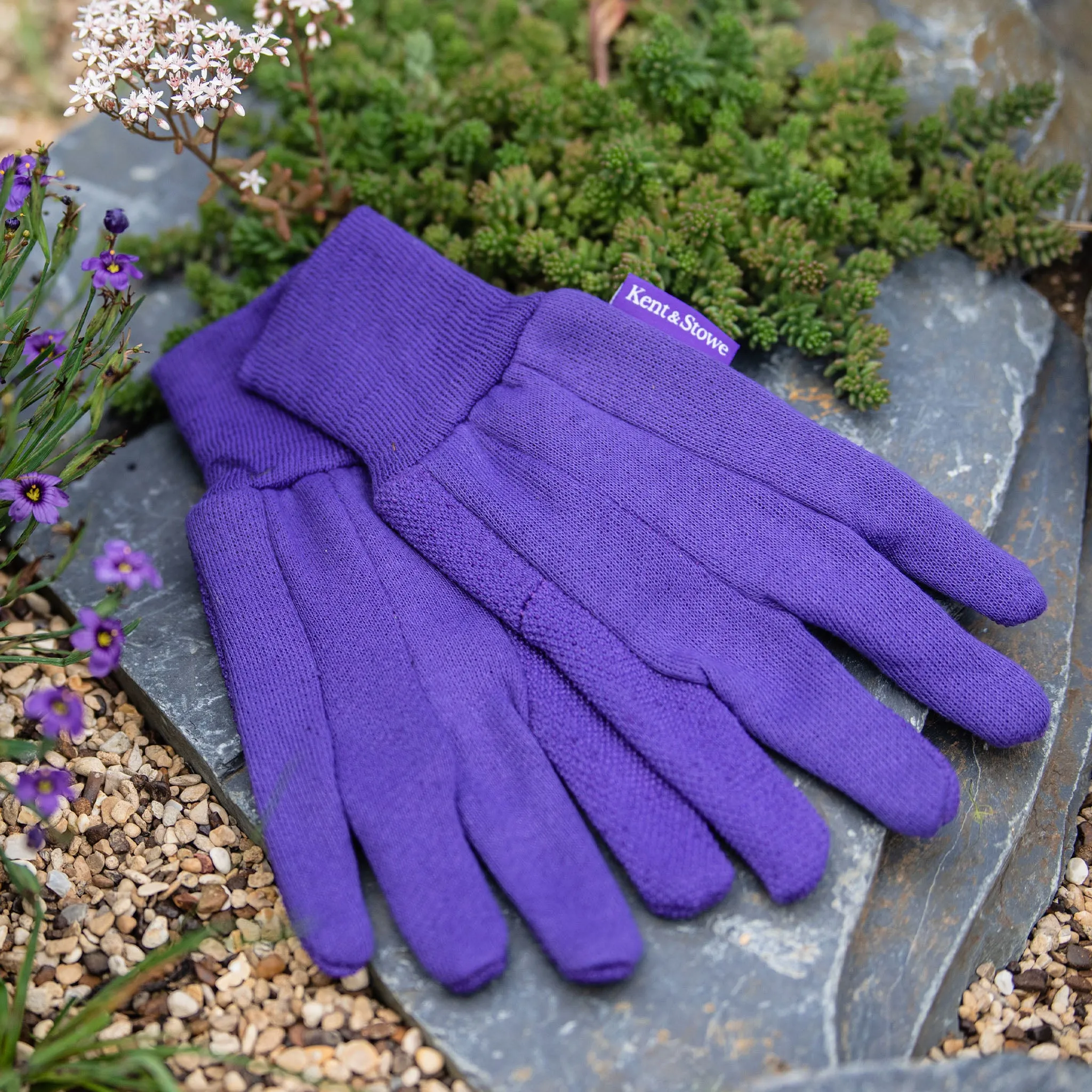 Kent & Stowe Purple Jersey Cotton Grip Gloves